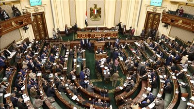 حملات مشبوهة هدفها النيل من مصر.. برلمانيون: مصر الداعم الأول للفلسطينيين 