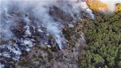 سوريا: فرق الإطفاء حققت سيطرة شبهه كاملة على حرائق اللاذقية