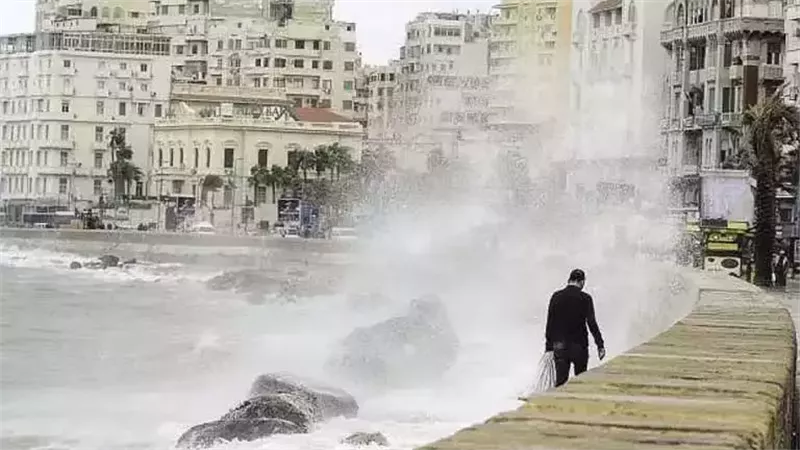 ارشيفية