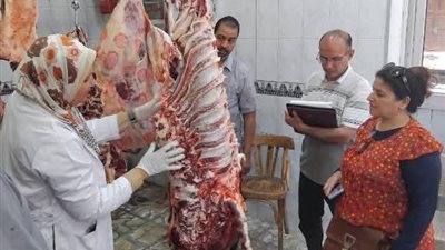 الطب البيطري بالسويس.. جهد متكامل لحماية الصحة العامة وتنمية الثروة الحيوانية