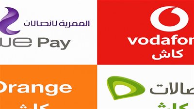 توقف مؤقت في «المحافظ الإلكترونية» الليلة.. متى موعد عودة الخدمة؟