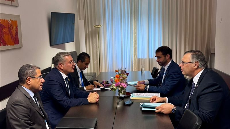 وزير البترول 