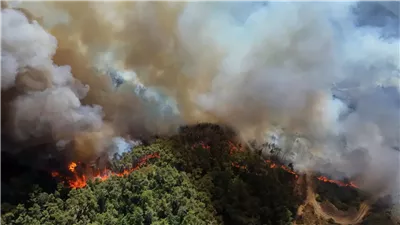 خبير عسكري لبناني يكشف تفاصيل جديدة لـ«نيوز رووم» بشأن الأوضاع في سوريا