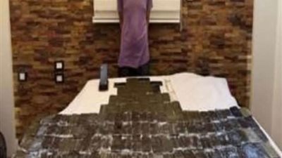 ضربة أمنية.. مباحث قسم ثان طنطا تسقط 