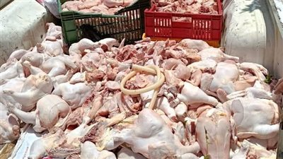 ضبط دواجن مجهولة المصدر غير صالحة للاستهلاك الآدمي ببركة السبع بالمنوفية 