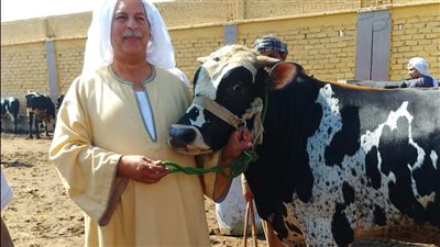 نقيب الفلاحين: التأمين على المواشي يساهم في تنمية الثروة الحيوانية 