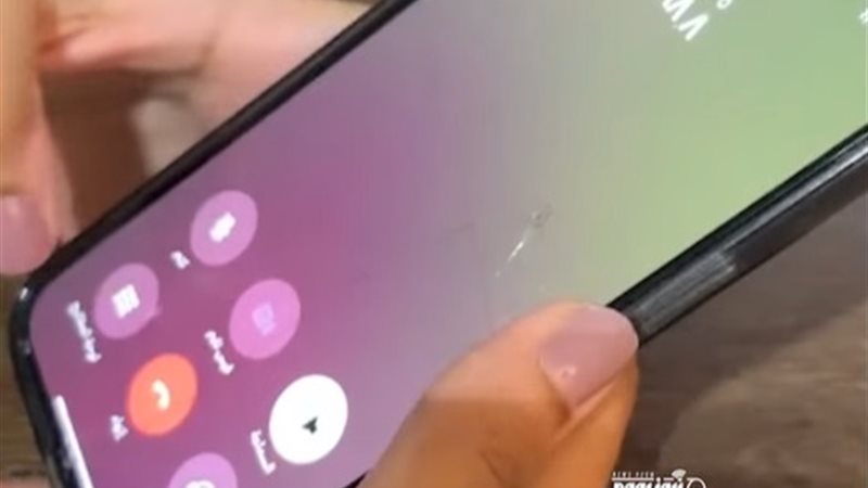 التجربة الحية 