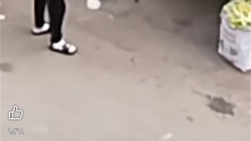 مشهد من الواقعة