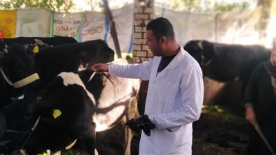 تحصين 30 ألف و458 من خلال 80 وحدة ببنى سويف بالحملة القومية للتحصين ضد الأمراض