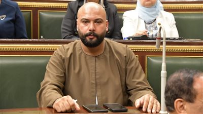 برلماني: الانتخابات المقبلة تشهد تعددية حزبية وتُرسخ لمفاهيم الديمقراطية