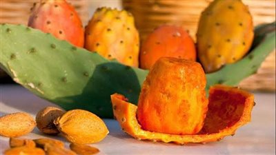 ماذا يحدث لجسمك عند تناول التين الشوكي أثناء الدايت؟