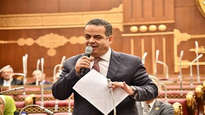 عصام هلال: الشيوخ ركيزة تشريعية أساسية لا تقل أهمية عن النواب