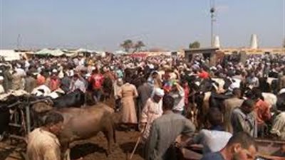 زور خطاب ضمان بقيمة 41 مليون جنيه.. حبس مستاجر سوق مواشي بدمنهور