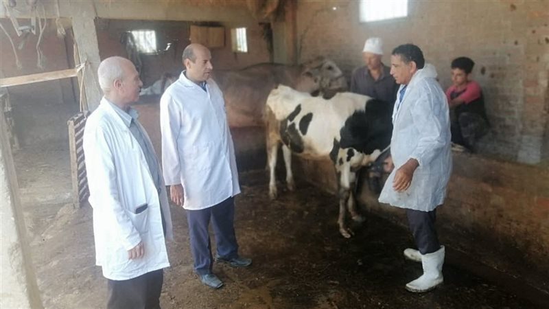 ينطلق فريق مديرية