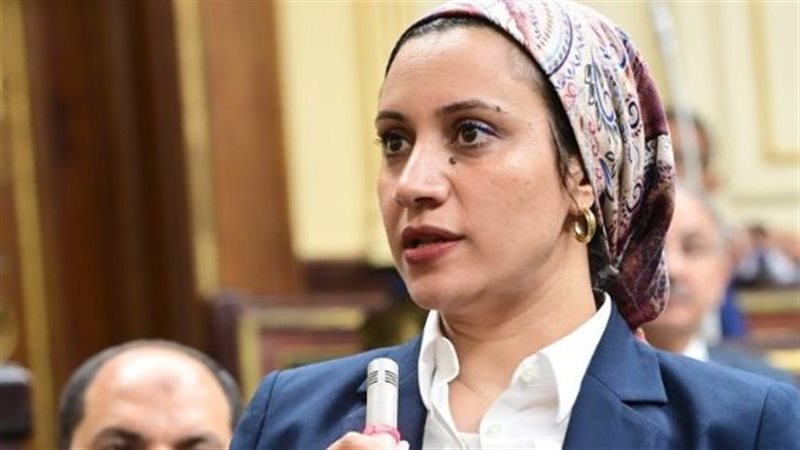 البرلمانية أية مدني