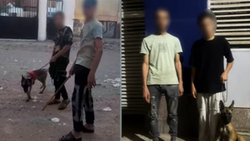 المتهمين