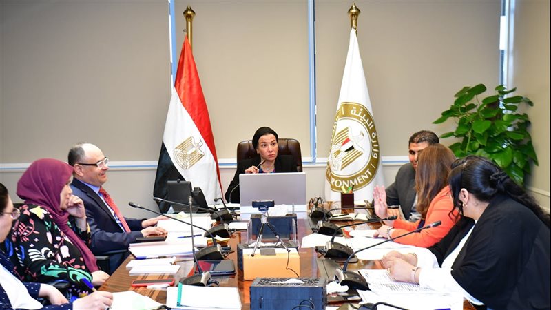 الدكتورة ياسمين فؤاد