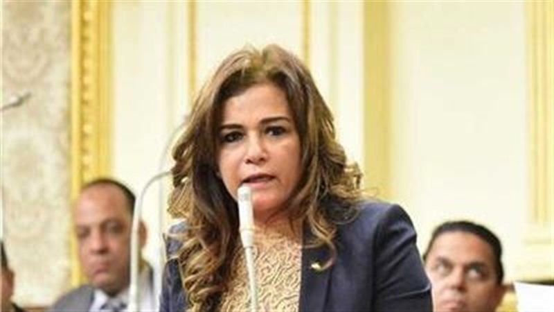 النائبة سحر طلعت