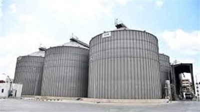 بني سويف: توريد 282 ألف و223 طن قمح إلى الصوامع والشون