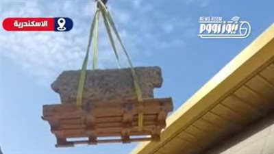 «بونش وقطعة خشب» نقل قطعة أثرية ثقيلة في المتحف اليوناني الروماني  