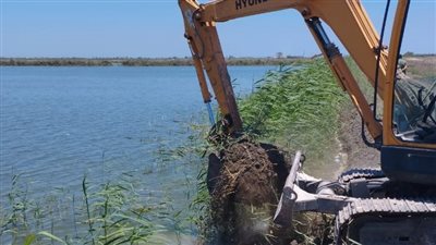 إزالة حالتين لمزارع سمكية مخالفة بمنطقة سهل جنوب الحسينية  ببورسعيد