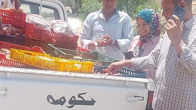 43 محضر لمخالفات بالمخابز البلدية والتحفظ على لحوم وسلع منتهية الصلاحية ومجهول