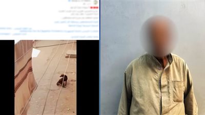 ضبط عامل من ذوي الاحتياجات الخاصة بعد تعذيبه كلبًا في أسيوط