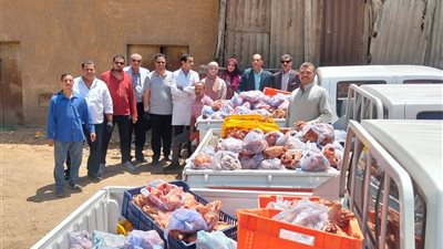 في حملة تموينية مكبرة.. ضبط 3 أطنان من الدواجن والكبدة الفاسدة بسوهاج 