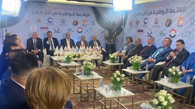 المصري الديمقراطي: ليس لدينا اشكاليه على عدد مقاعدنا في الشيوخ