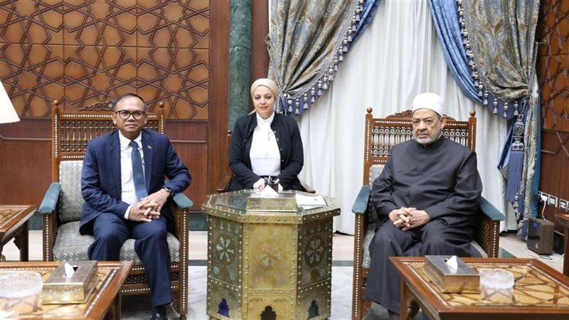 شيخ الأزهر وسفير