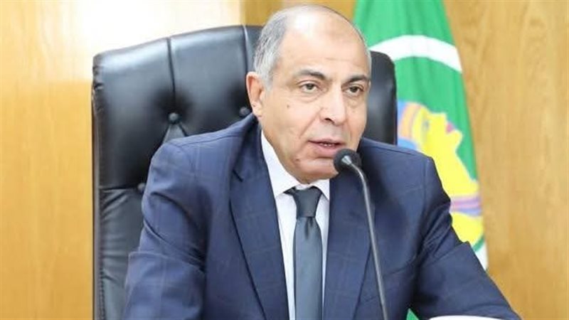 محافظ المنيا