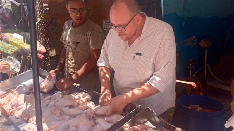 تموين المنيا