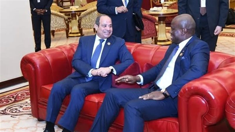 السيسي يبحث تعزيز