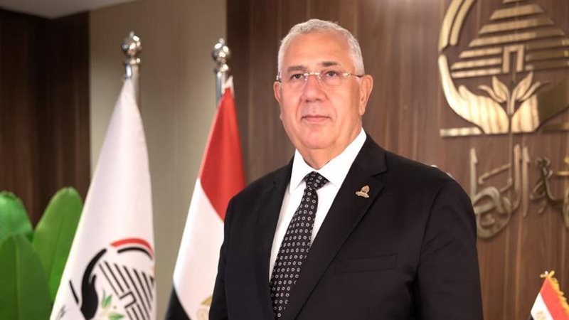 السيد القصير
