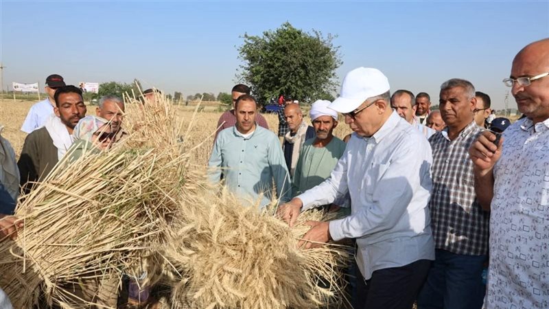 محافظ المنيا