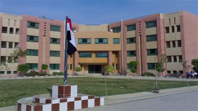 إصابة 5 طلاب في مشاجرة داخل الكلية التكنولوجية والمدرسة الإيطالية بالفيوم
