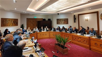 انعقاد اللجنة الدائمة لمتابعة العلاقات المصرية الأفريقية