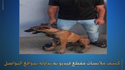 الأمن يكشف تفاصيل واقعة استغلال كلب في إرهاب مواطن بالدقهلية