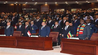 مصر في قلب إفريقيا.. رامي زهدي: تحركات دبلوماسية فاعلة تعزز التكامل القاري