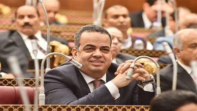 عصام هلال: مجلس الشيوخ يُعاني من ظلم إعلامي رغم دوره المحوري