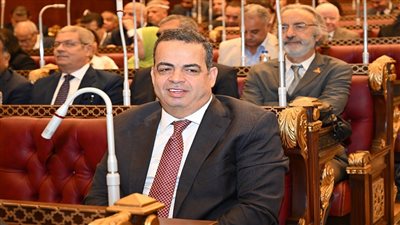 عصام هلال: مجلس الشيوخ أثرى الحياة التشريعية والمشاركة السياسية واجب وطني