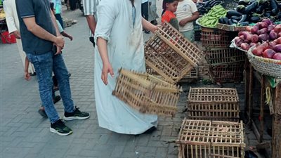 طهطا تواصل حملات إزالة الإشغالات وتحسين السيولة المرورية |صور