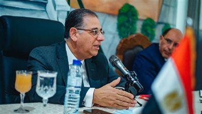 الخارجية: تواصل مستمر مع السفراء وتنسيق شامل استعدادًا لانتخابات الشيوخ 2025