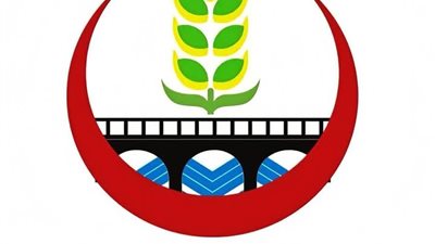 نجاح فريق طبي بمستشفى بني سويف التخصصي في استئصال ورم بالغدة الكظرية