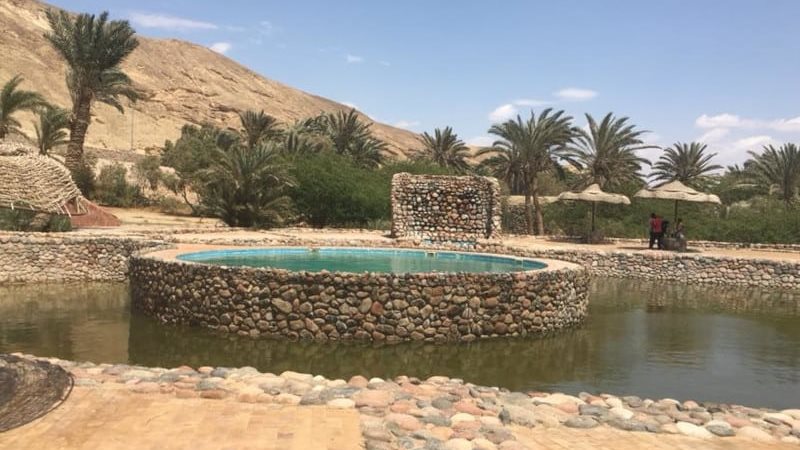 أرشيفية