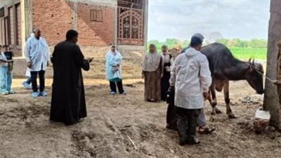 حملة قومية لتحصين الماشية ضد الأمراض الوبائية تنطلق بقرى طنطا  