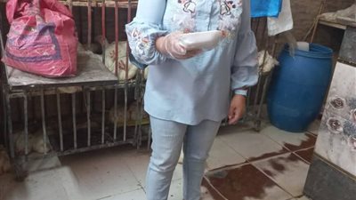 ضبط 229 كيلو لحوم فاسدة وتحرير 3 محاضر في حملات مكثفة بالسويس