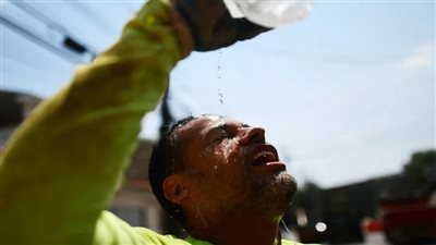 محمد فهيم: ارتفاع الحرارة المحسوسة والرطوبة يؤثر على الإنسان والنباتI فيديو