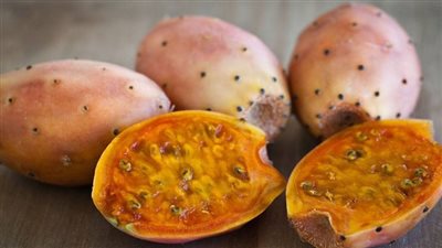 التين الشوكى يحتوي على فوائد عديدة ويعالج أمراضا خطيرة.. تعرف عليها