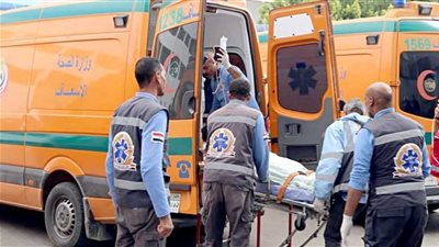 طالب ينهي حياته بقرية ششت الأنعام بمركز إيتاي البارود بالبحيرة